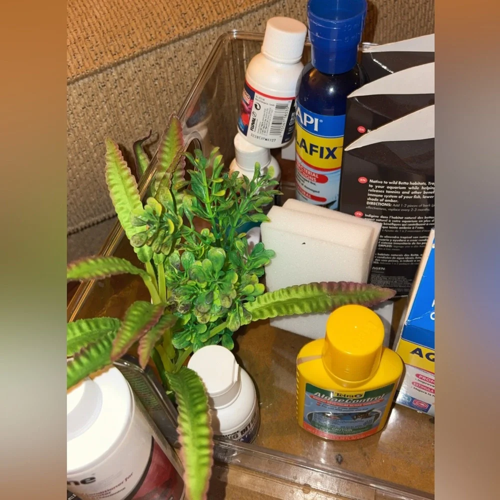 Aquarium Starter Kit with Accessories